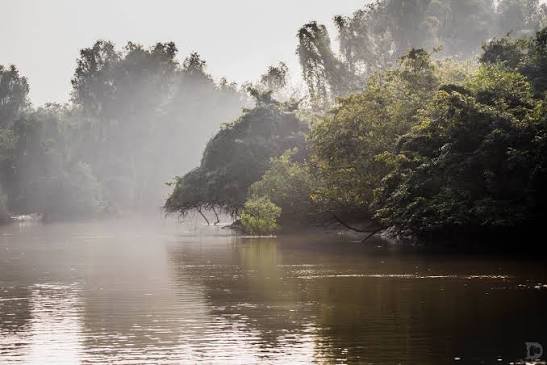 Bhitarkanika National Park, Odisha: Location, Timings, Ticket Cost