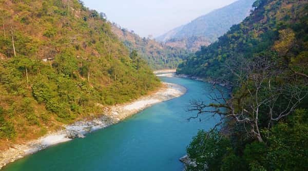 Gorumara National Park, West Bengal: Location, Timings, Safari Cost