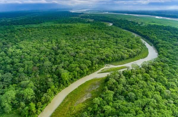 Jaldapara National Park