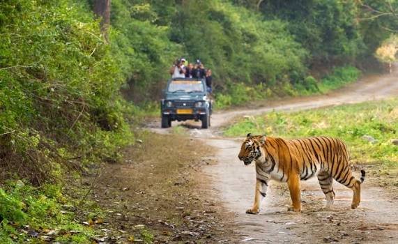 Jim Corbett National Park, Uttarakhand