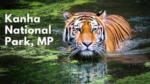 Kanha National Park, Madhya Pradesh