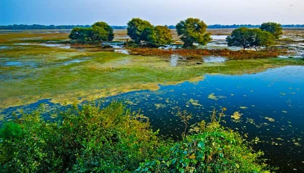 Keoladeo National Park