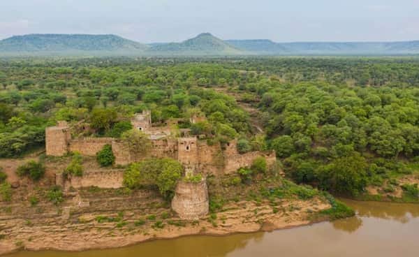 Kuno National Park, Madhya Pradesh: Location, Timings, Safari Cost