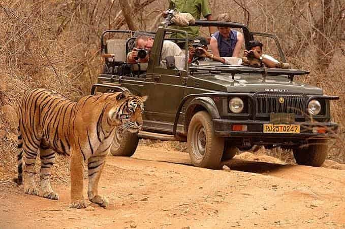 Ranthambore National Park, Rajasthan
