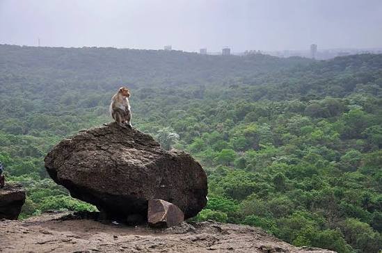Sanjay Gandhi National Park, Mumbai