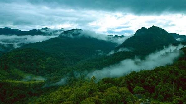 Silent Valley National Park, Kerala: Location, Timings, Tickets Cost