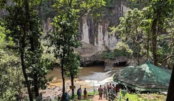 Anshi National Park, Karnataka: Location, Timings, Tickets Cost