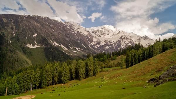 Great Himalayan National Park, Himachal Pradesh: Location, Timings, Tickets Cost