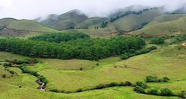Mukurthi National Park, Tamil Nadu: Location, Timings, Tickets Cost