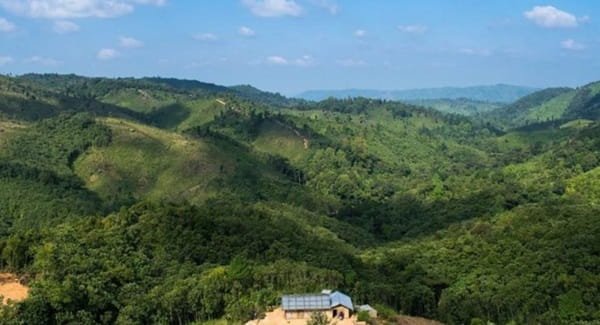 Nokrek National Park, Meghalaya: Location, Timings, Tickets Cost
