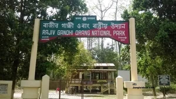 Orang National Park, Assam: Location, Timings, Tickets Cost