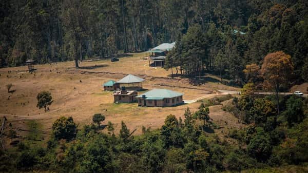 Pampadum Shola National Park, Kerala