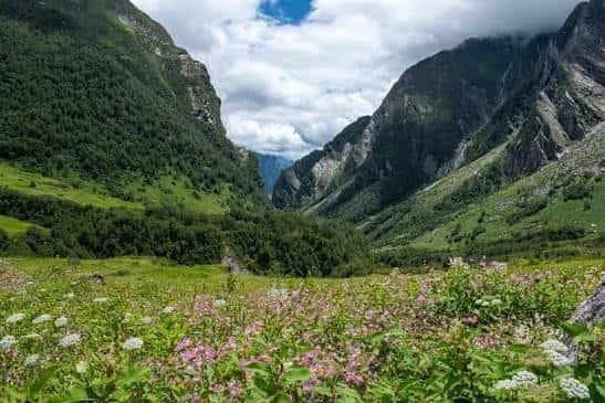 Valley of Flowers National Park, Uttarakhand: Location, Timings, Tickets Cost